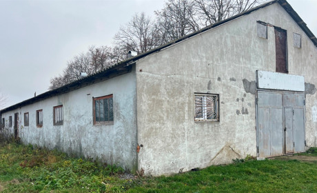 Барська міська рада відповіла на запит про вакцинацію тварин та притулок для собак
