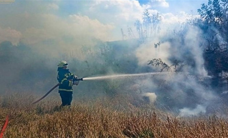 На вихідних рятувальники Черкащини ліквідували 6 пожеж на відкритій території