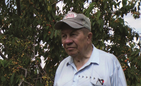 Выдающийся селекционер со скромным характером. Памяти известного мелитопольца Николая Туровцева