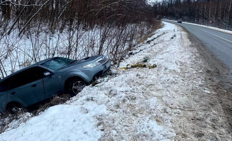 Кросовер із родиною злетів у кювет поблизу Боголюбового