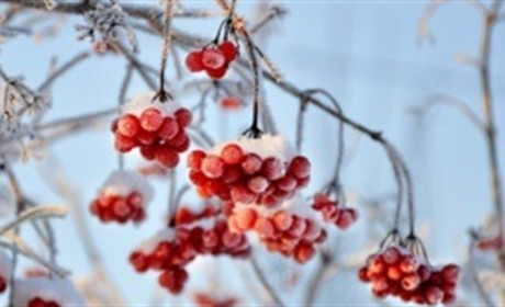 Синоптики розповіли, якої погоди чекати у грудні