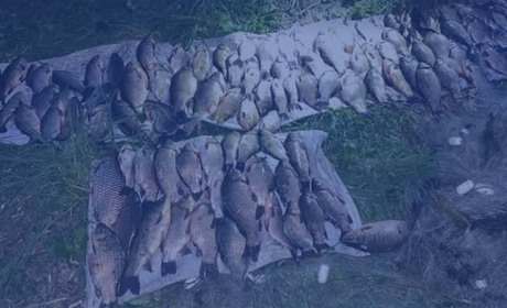 З 1 квітня на Вінниччині діють нерестові обмеження на рибальство