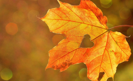 Якої погоди чекати мешканцям Сватівщини з 13 по 19 вересня 2021: прогноз на тиждень