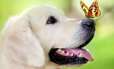 Синоптики обіцяють українцям теплу п'ятницю