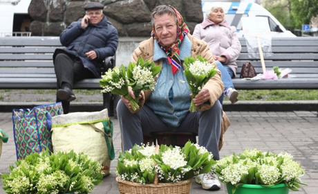 Першоцвіти – під забороною. Чому їх не можна продавати та купувати