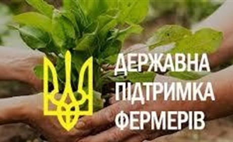 Уряд підтримає аграріїв – треба правильно оформити заявки