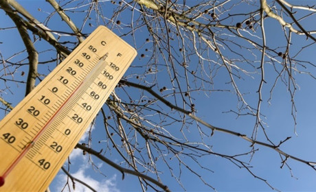 Погода у Нетішині та в області на 11 березня