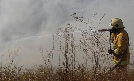 За рік на Гадяччині за випалювання трави та листя екоінспектори виписали лише чотири штрафи