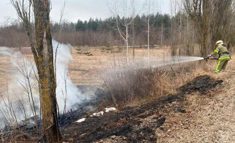 У Люджі рятувальники гасили пожежу, аби вогонь не перейшов на ліс
