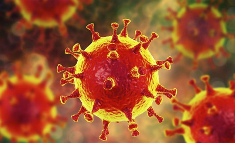 Вирус из «конструктора»? Расследование мелитопольского биолога