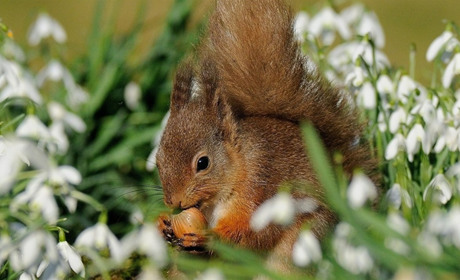 В які дні дощитиме і коли знову чекати похолодання: прогноз погоди на тиждень