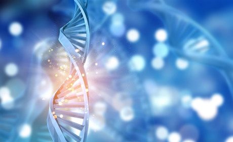 Нові антирекорди  COVID-19 та ситуація в Запорізькій області