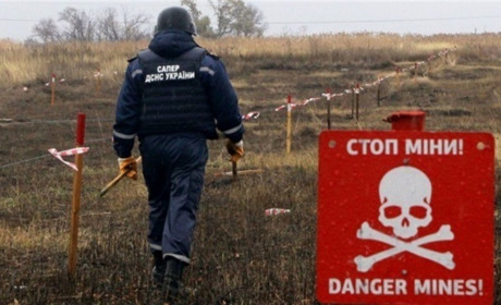 Розмінування лісів на Київщині займе близько року, основні дороги сапери вже перевірили