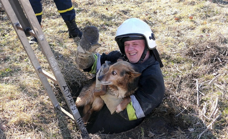 В сусідньому Ямполі рятувальники витягнули з відкритого люка собаку
