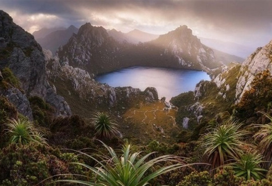 Туристи поїхали у Тасманію до пам'ятки, якої не існує. Її згенерував ШІ — деталі