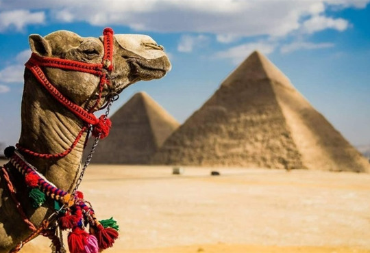 Як заощадити 400 доларів на відпочинку в Єгипті? Треба знати, коли туди краще їхати