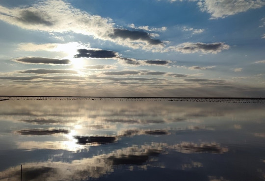 Стрілкове - цитадель спокою і гарантія якісного відпочинку