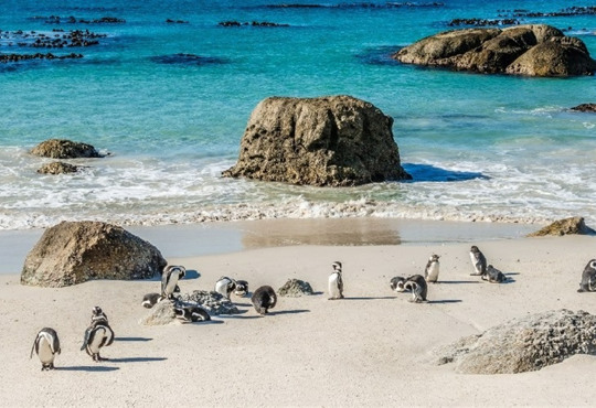 Куди їхати на відпочинок у 2026, щоб не потрапити у війну. Поради експертів