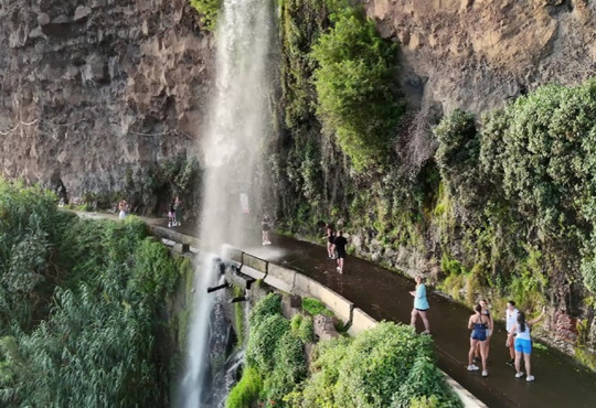 Вісім днів на Мадейрі, де водоспади падають на дороги. Подорож островом вічної весни
