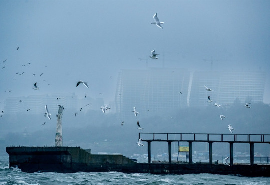 Чайки, величезні хвилі та вітер. Шторм в Одесі на пляжі Ланжерон — фото