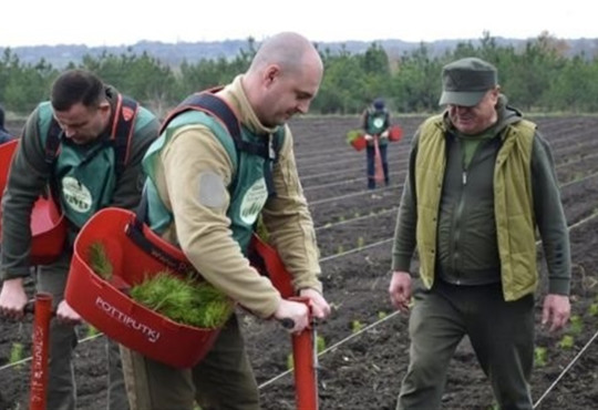Третє місце в Україні: 11 мільйонів дерев висадили в південних областях