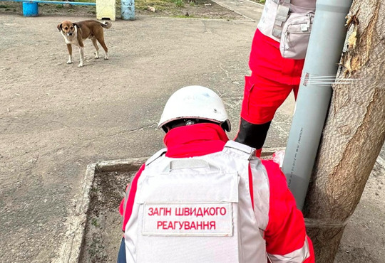 "Важливо не забувати про чотирилапих". Волонтери становили в Оріхові годівниці для покинутих тварин
