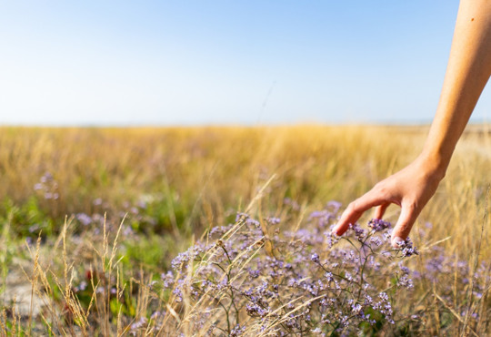 Путівник Лазурним. Острів, тиша, дикі пляжі