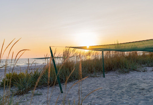 Путівник Кінбурнською косою. Ретріт і тиша