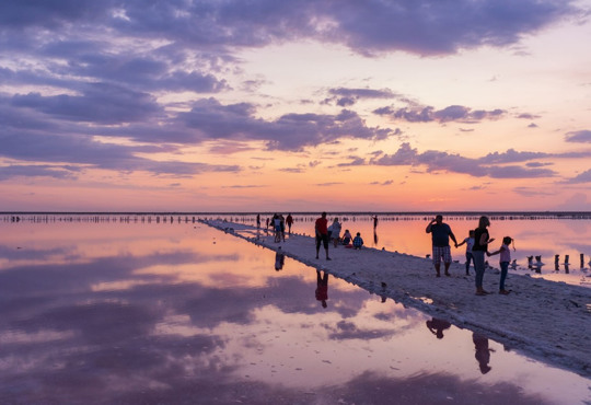 Путівник Арабатською Стрілкою. Інжир, рожеве озеро, нескінченний пляж