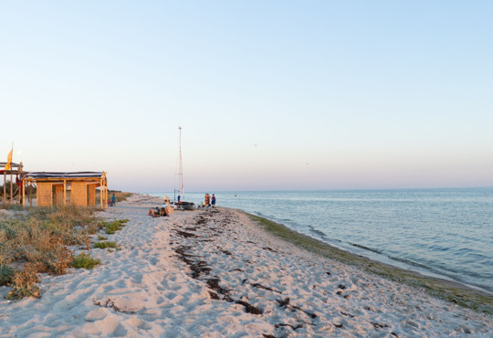 Відпочинок на Кінбурнській косі: чисті пляжі, незаймана природа і дельфіни по сусідству