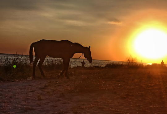 10 речей, які сподобалися й розчарували в Хорлах
