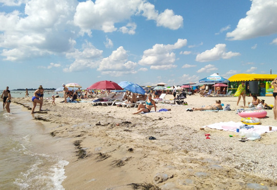​​​​​​​Медузи повернулися на морське узбережжя України. На які курорти поки що не варто їхати