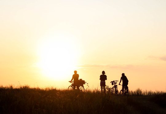 Базы отдыха и отели на курорте "Приморское"