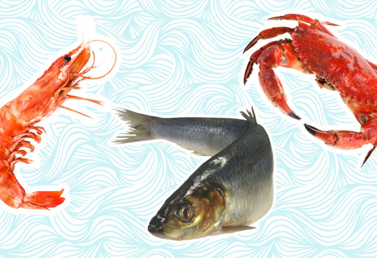 Користь морепродуктів та чи допоможуть вони боротись з осінньою хандрою