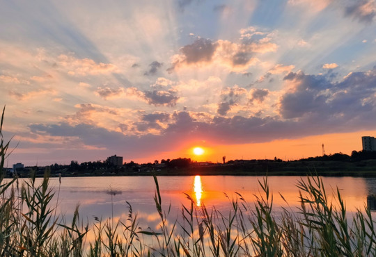 Приморск: низкие цены, пустынные и чистые пляжи