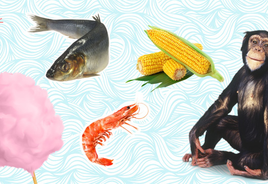 Тест: Какой из вас продавец на пляже?