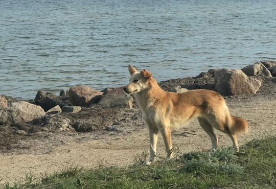 Просто наявності моря недостатньо. На Херсонщині збільшилася кількість туристів у районах без моря