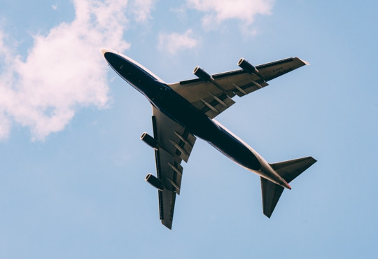 В Украине появился лоукостер Bees Airline: начнут с чартеров в Египет и планируют рейсы в Батуми