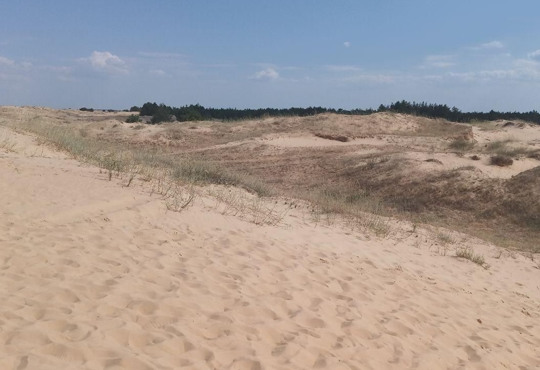 Пустеля біля двох морів: на Херсонщині справжня засуха