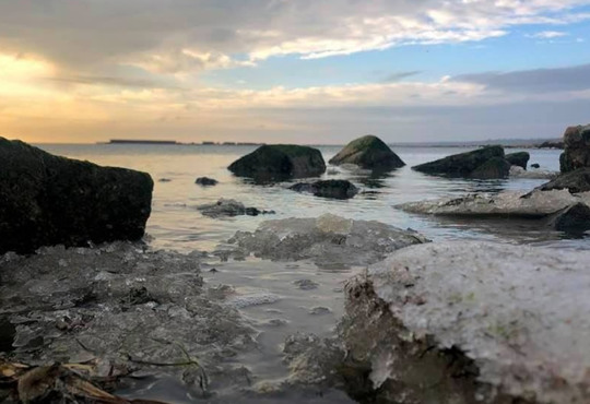 В Бердянске замерзло Азовское море: впечатляющие фото и видео 