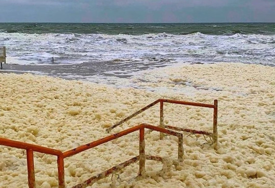 Море готовит капучино: в Кирилловке на берегу образовалась необычная пена