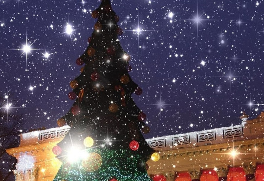 Одесса превратилась в настоящую новогоднюю сказку: яркие фото