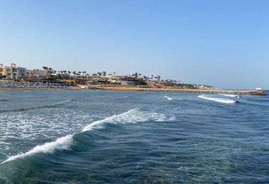 Египет отменил новогодние мероприятия, за отсутствие масок будут штрафовать