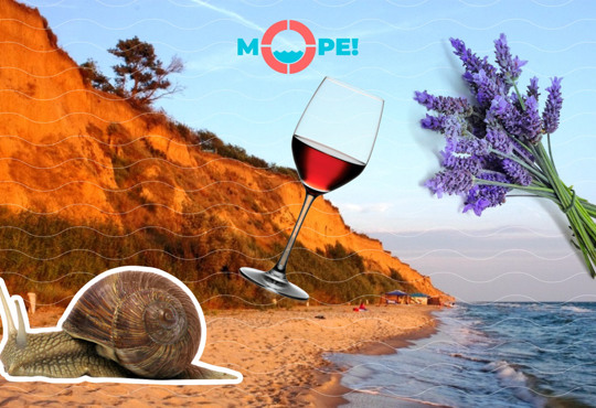 Гейзери, велосипеди, равлики. Куди поїхати до моря на День Святого Валентина
