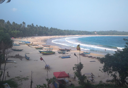 Шри-Ланка полностью открылась для туристов. Правила въезда и отели, в каких можно жить