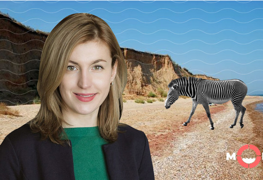 Як привести іноземних туристів в Україну та змусити підприємців платити податки. Інтерв’ю з Олеськів