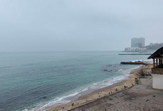 Справжня зима в Одесі, а не на Буковелі. Подорож до Чорного моря в не сезон