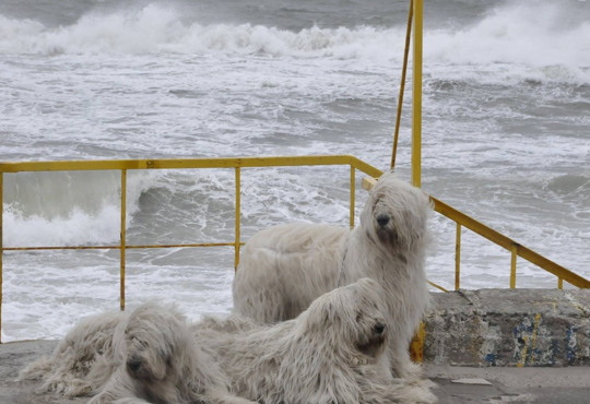 Штормовое предупреждение. Погода на побережье ухудшится 