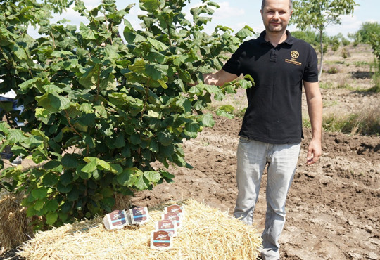 Вино, макаруни та бланшовані горіхи. Чим горіхова плантація може зацікавити туристів