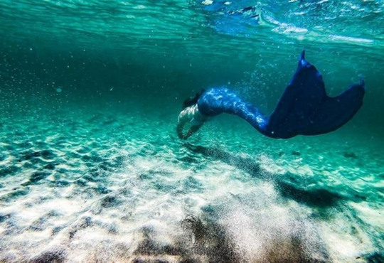 Як "жива русалка" досліджує береги моря
